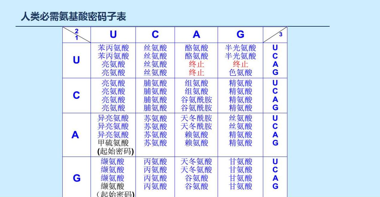 dnastar说明书_桃花源记宝宝打书说明_dnastar的product key