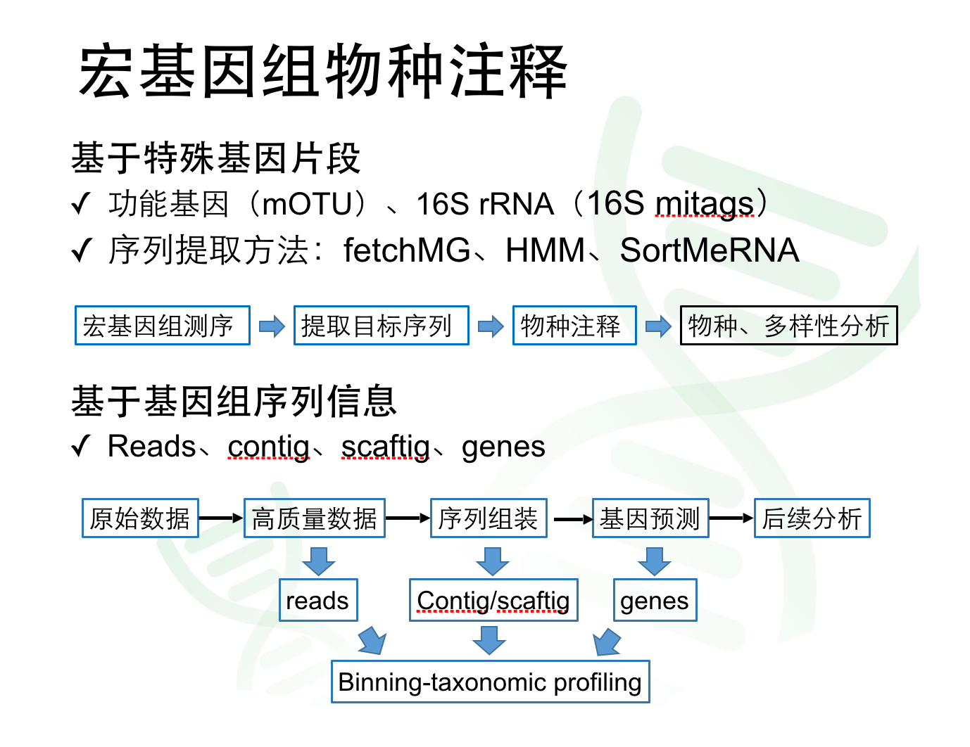 桃花源记宝宝打书说明_dnastar的product key_dnastar说明书