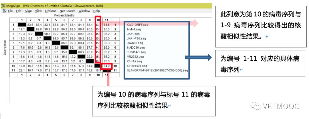 dnastar序列比对_序列比对名词解释_序列比对软件