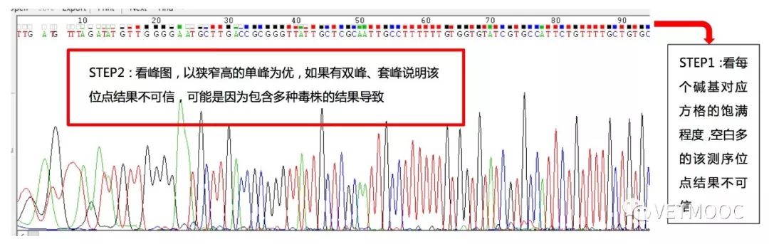 dnastar序列比对_序列比对名词解释_序列比对软件