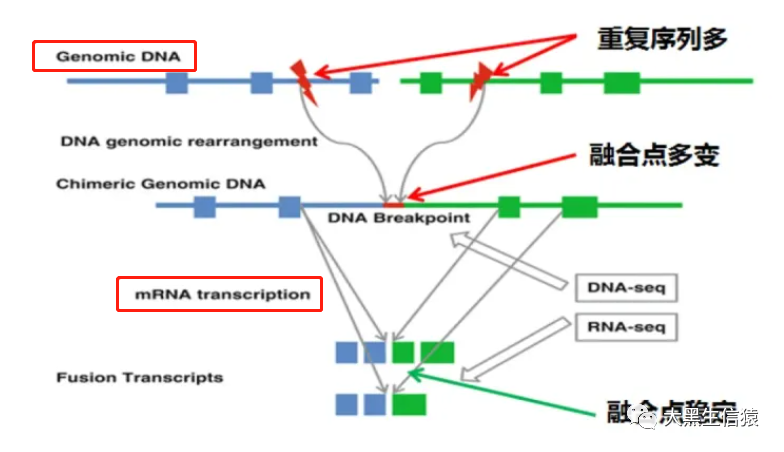 dnastar序列比对_序列比对结果如何分析_序列比对算法