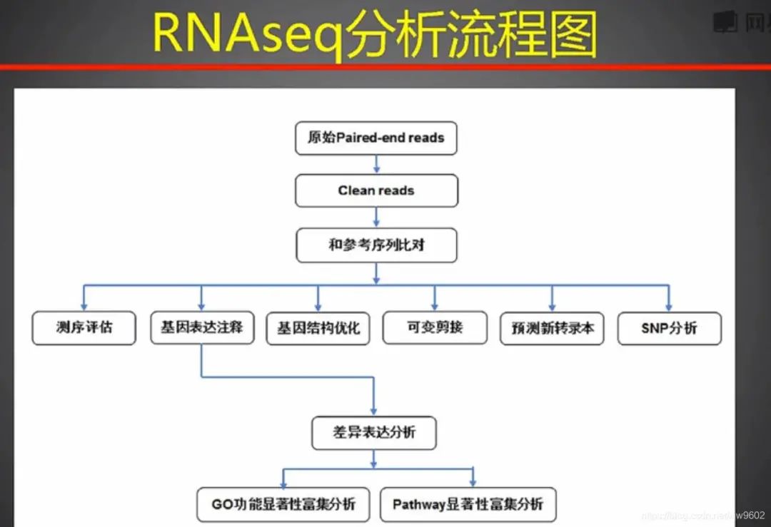 dnastar序列比对_序列比对算法_序列比对结果如何分析