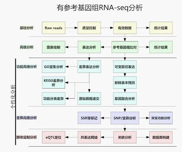 序列比对结果如何分析_序列比对算法_dnastar序列比对