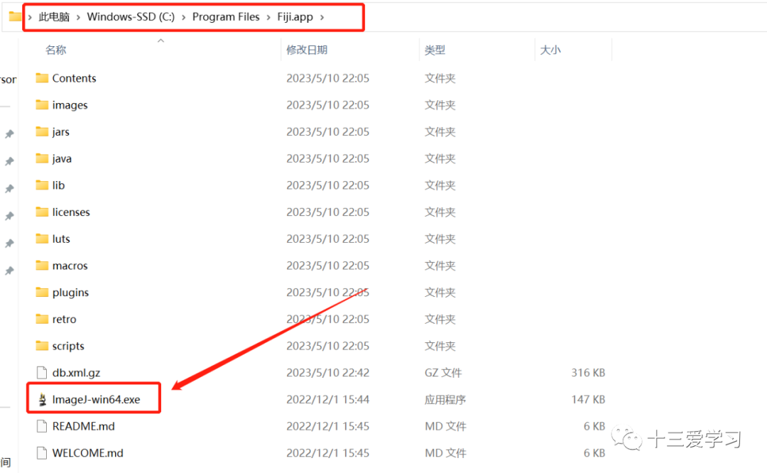 下载软件用哪个软件好_dnastar软件下载_下载软件的app