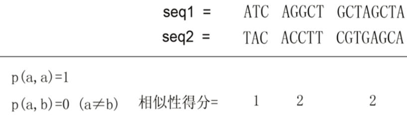 序列比对名词解释_dnastar序列比对_序列比对算法
