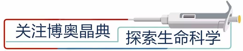 引物设计原则和注意事项_dnastar引物设计_引物设计原则